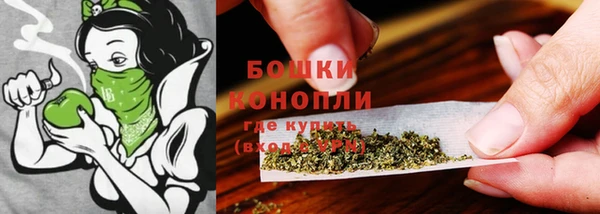 прущие крисы Богданович