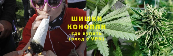 стаф Богородицк